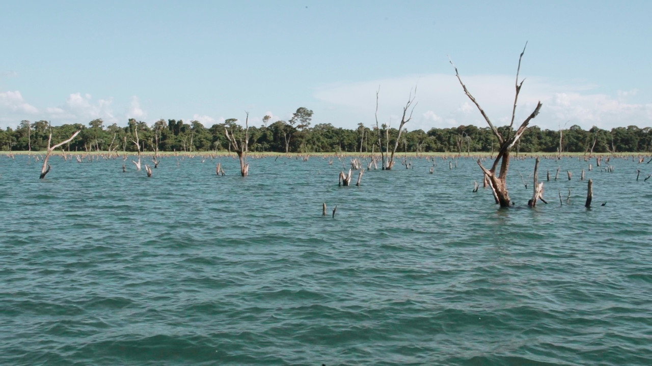 Yesterday I Remember My Mom backdrop