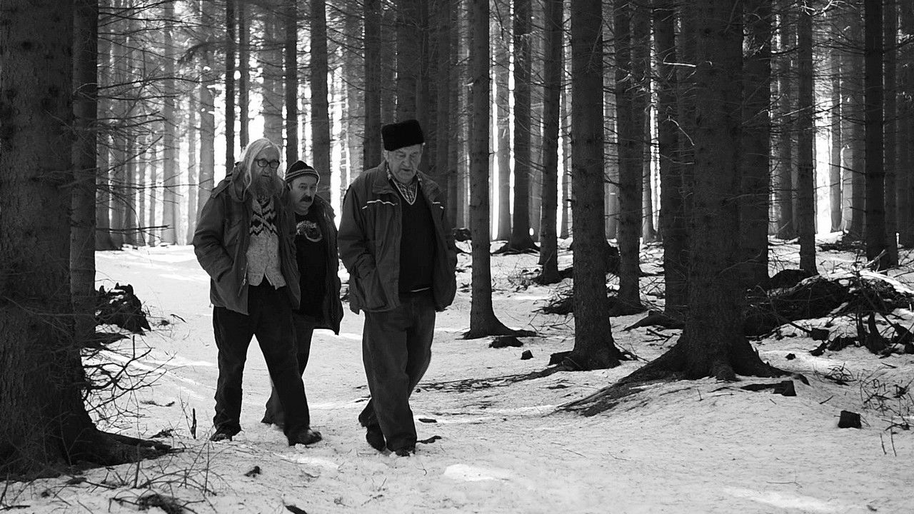 Odborný dohled nad výkladem snu backdrop