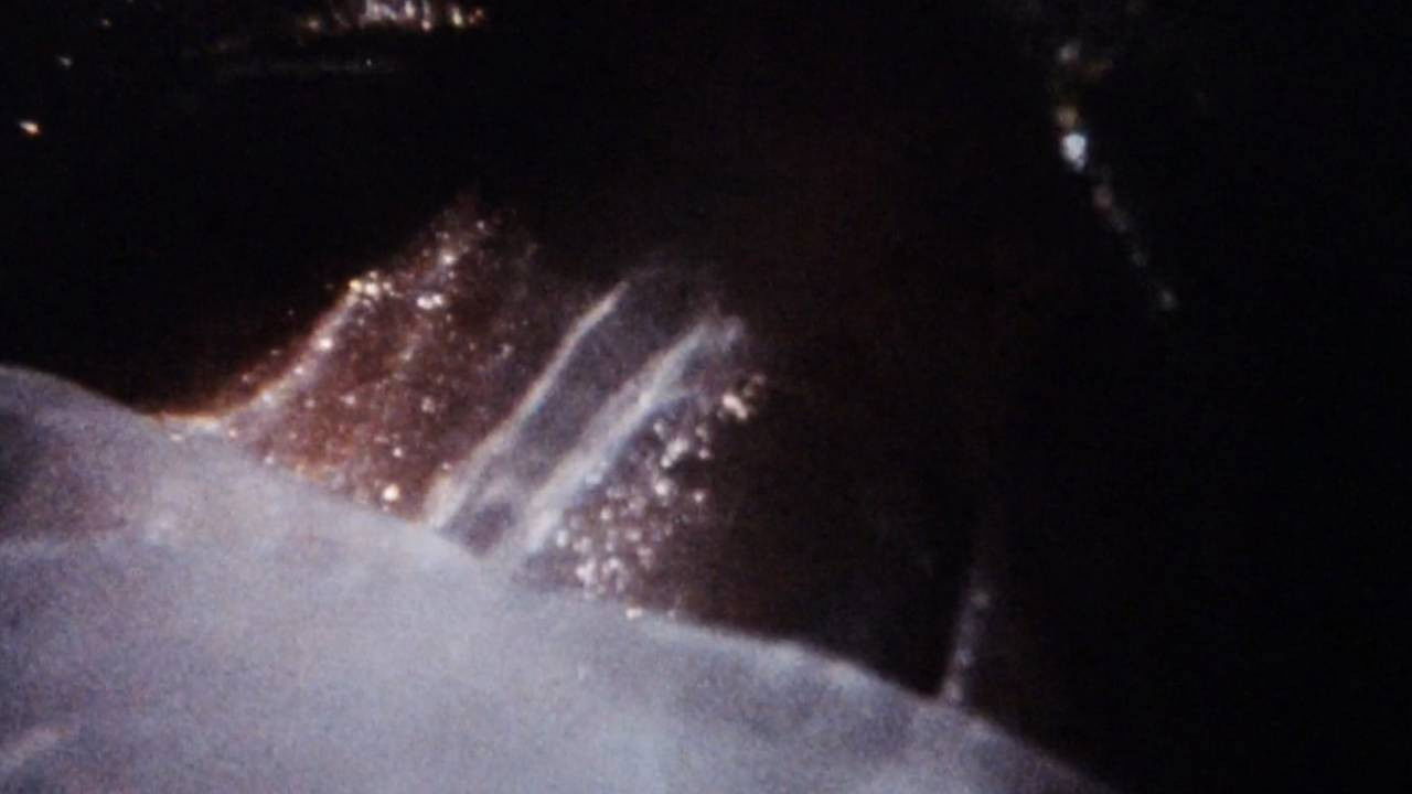 Maternal Filigree backdrop