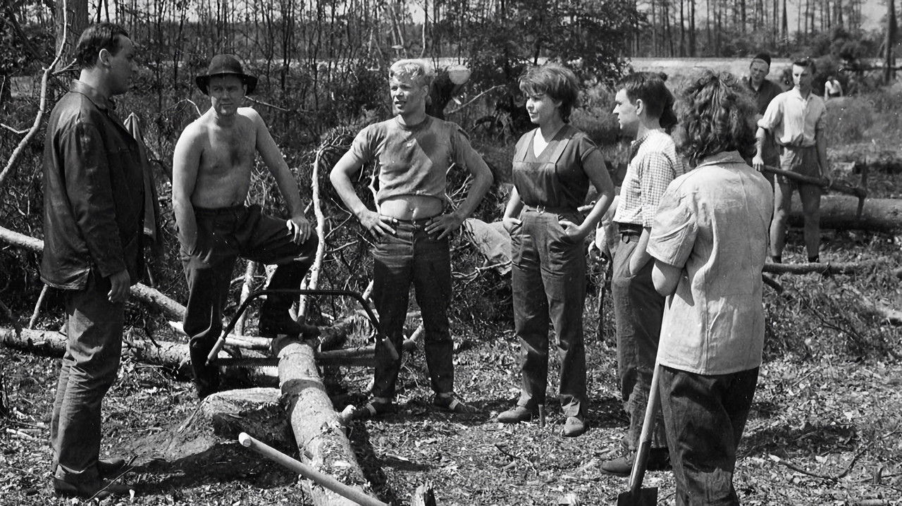 Chronicle of a Summer backdrop