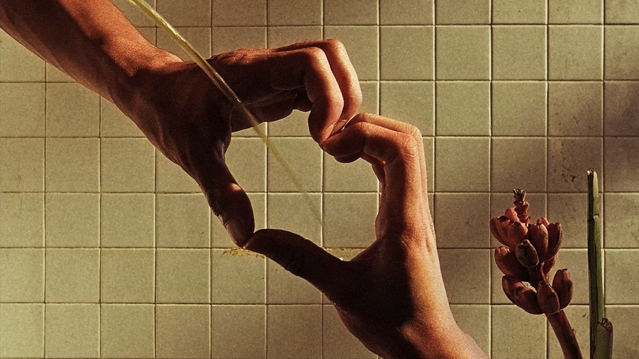 Water Sports backdrop