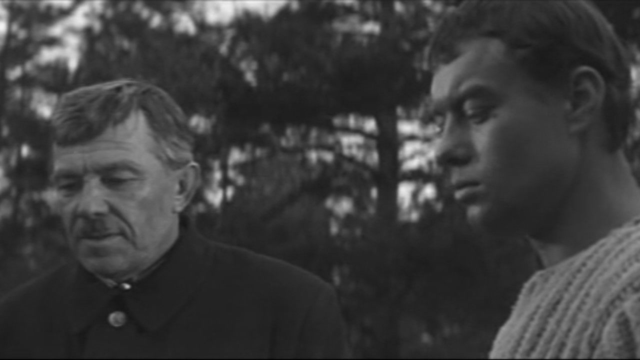 Moonlit Nights backdrop