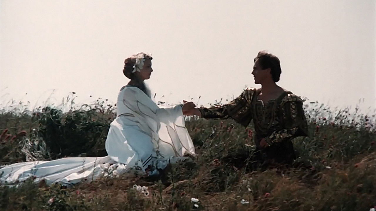 Pávie pierko backdrop