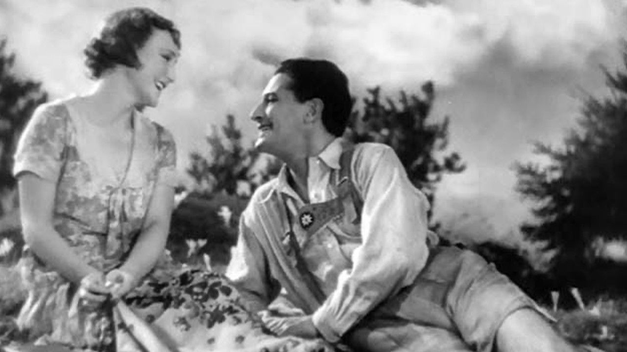 Autumn Crocus backdrop