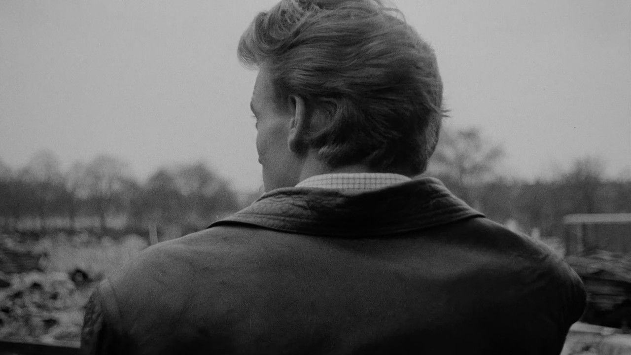 Stenbroens helte backdrop