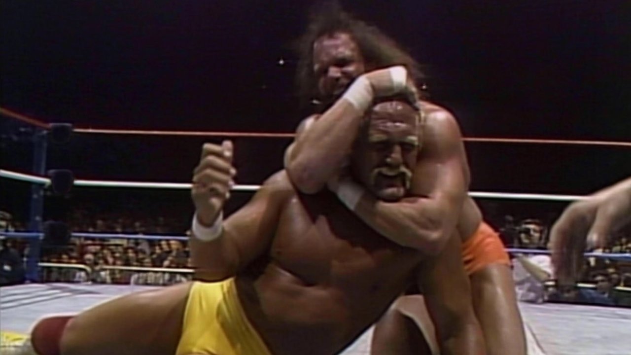 WWE World Tour '90 backdrop