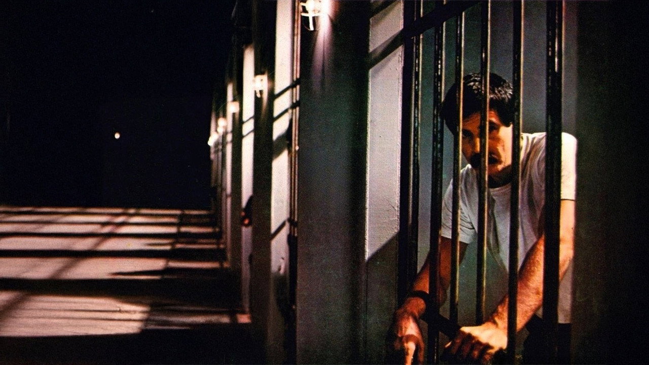 Yağmur Kaçakları backdrop