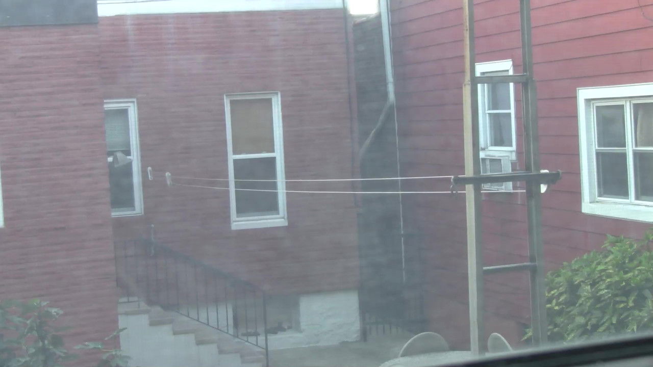 Concerned Space Wives or The Freelancer backdrop