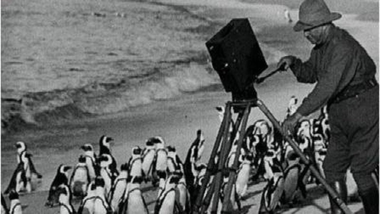 With Cherry Kearton in the Jungle backdrop