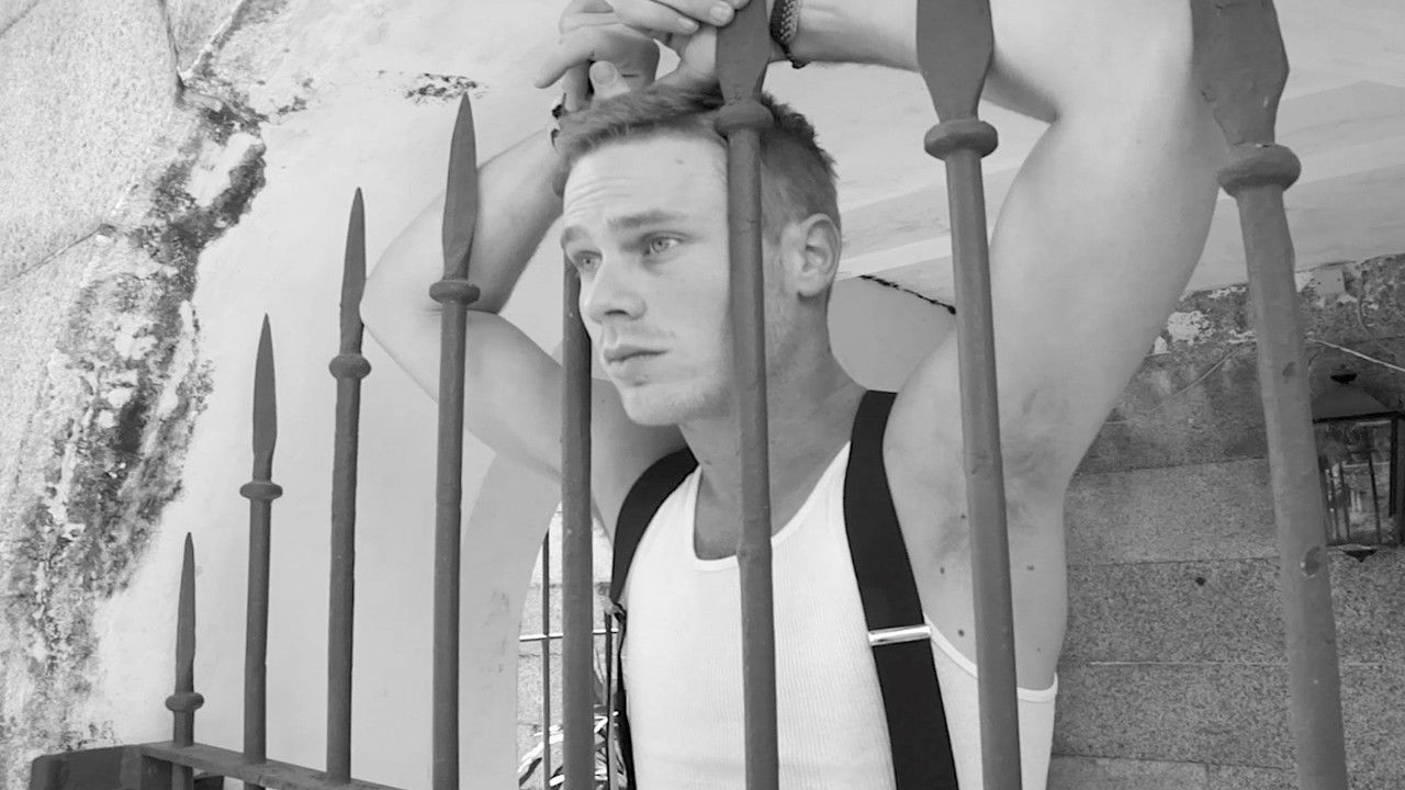 Death of a Parrot backdrop