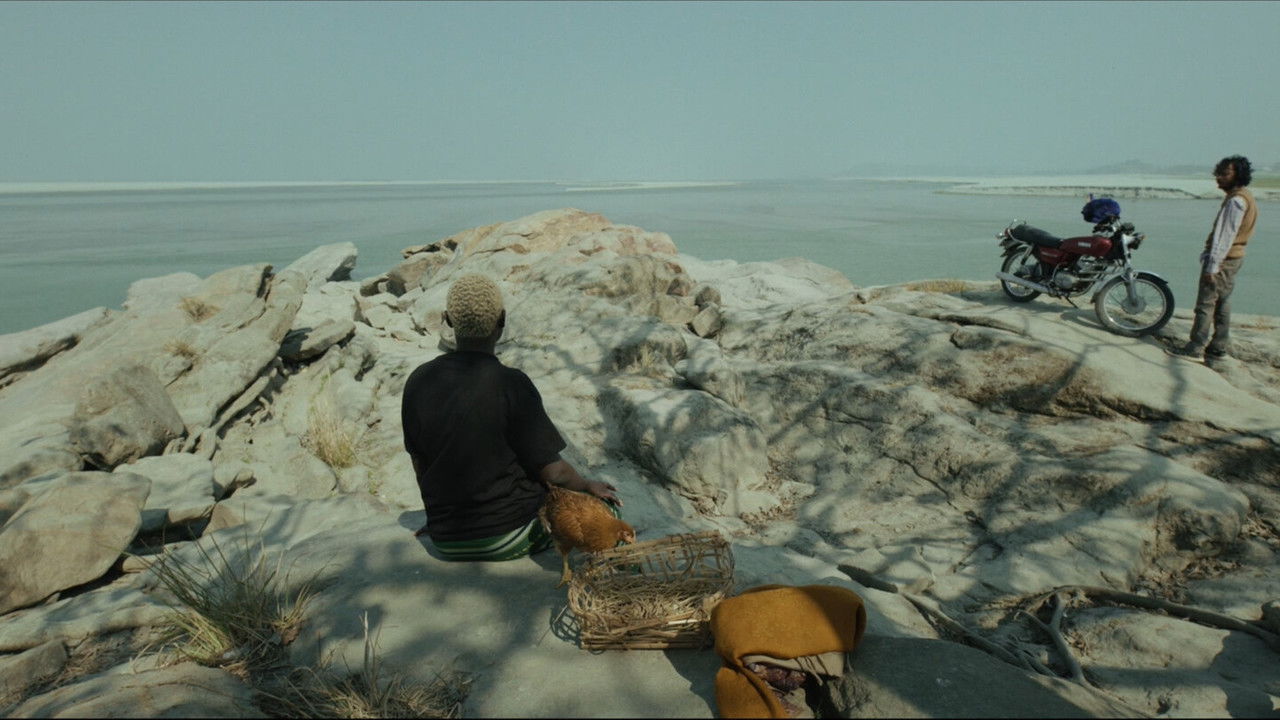 Kok Kok Kokoook backdrop