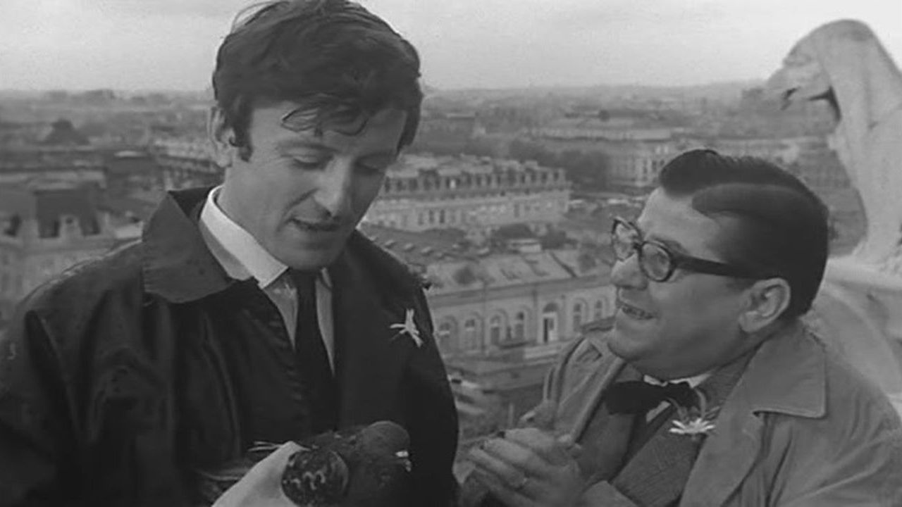 Order of the Daisy backdrop