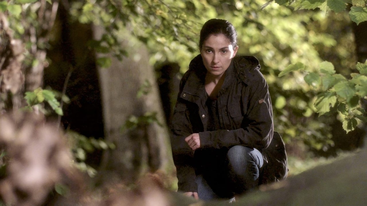 Johan Falk: Alla råns moder backdrop