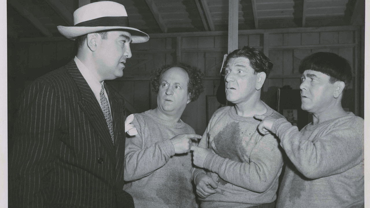 Fright Night backdrop