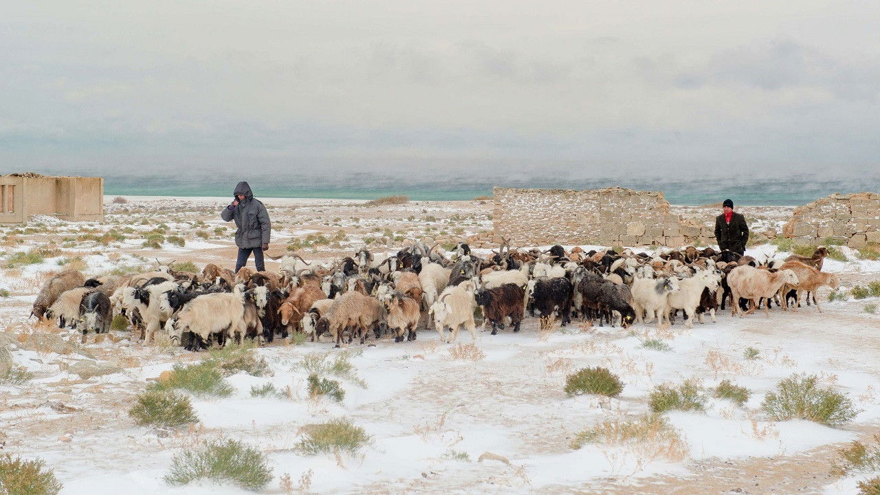 Dreams of the Salt Lake backdrop
