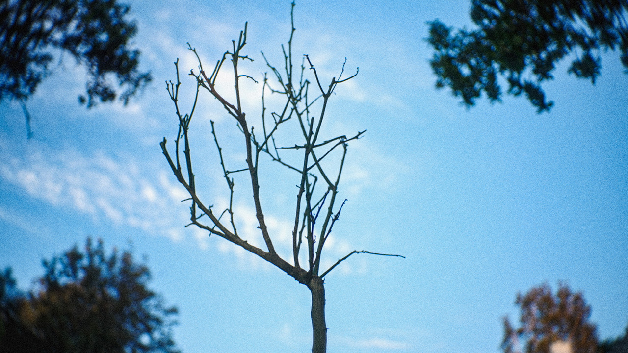 The River of Lethe backdrop