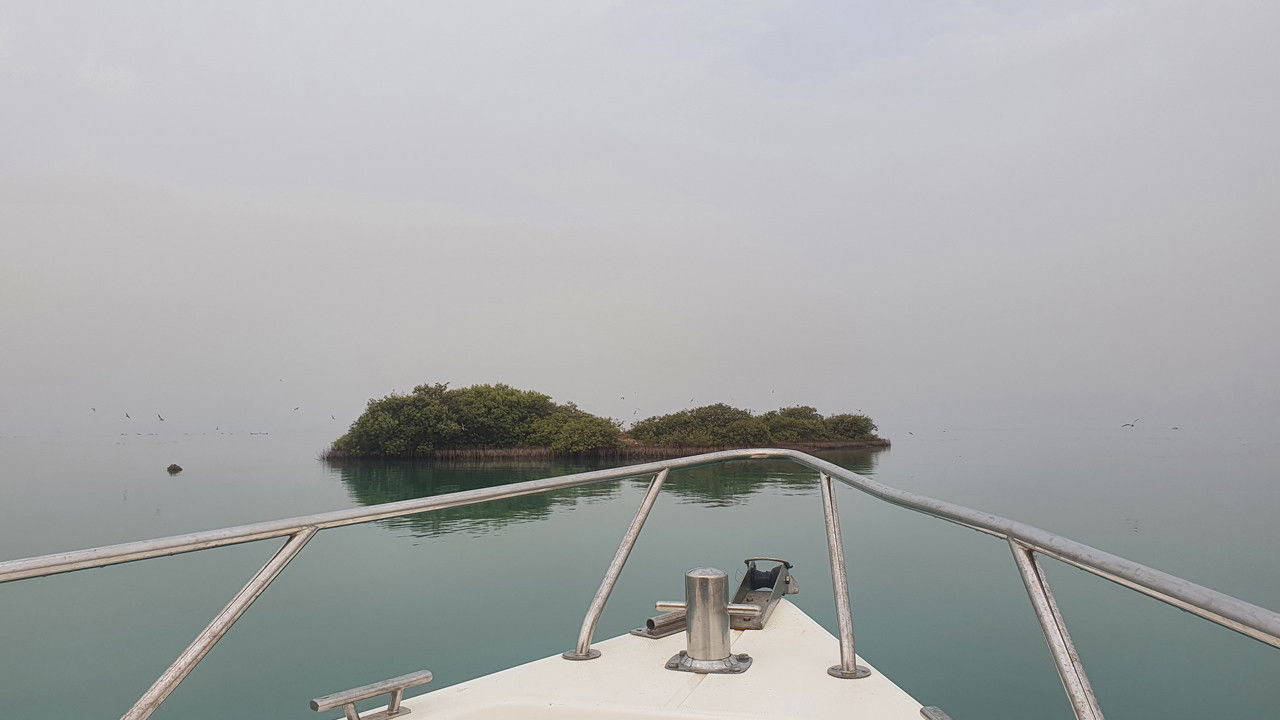 Extra Footage backdrop