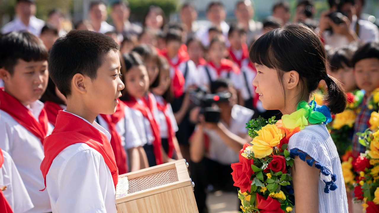 The Beetle Project backdrop