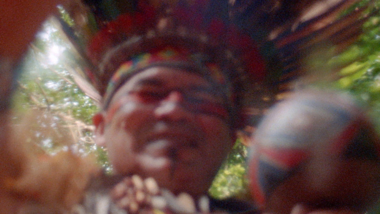 Metamorphosis' Chantings or That Time When I Incarnated as Porpoise backdrop