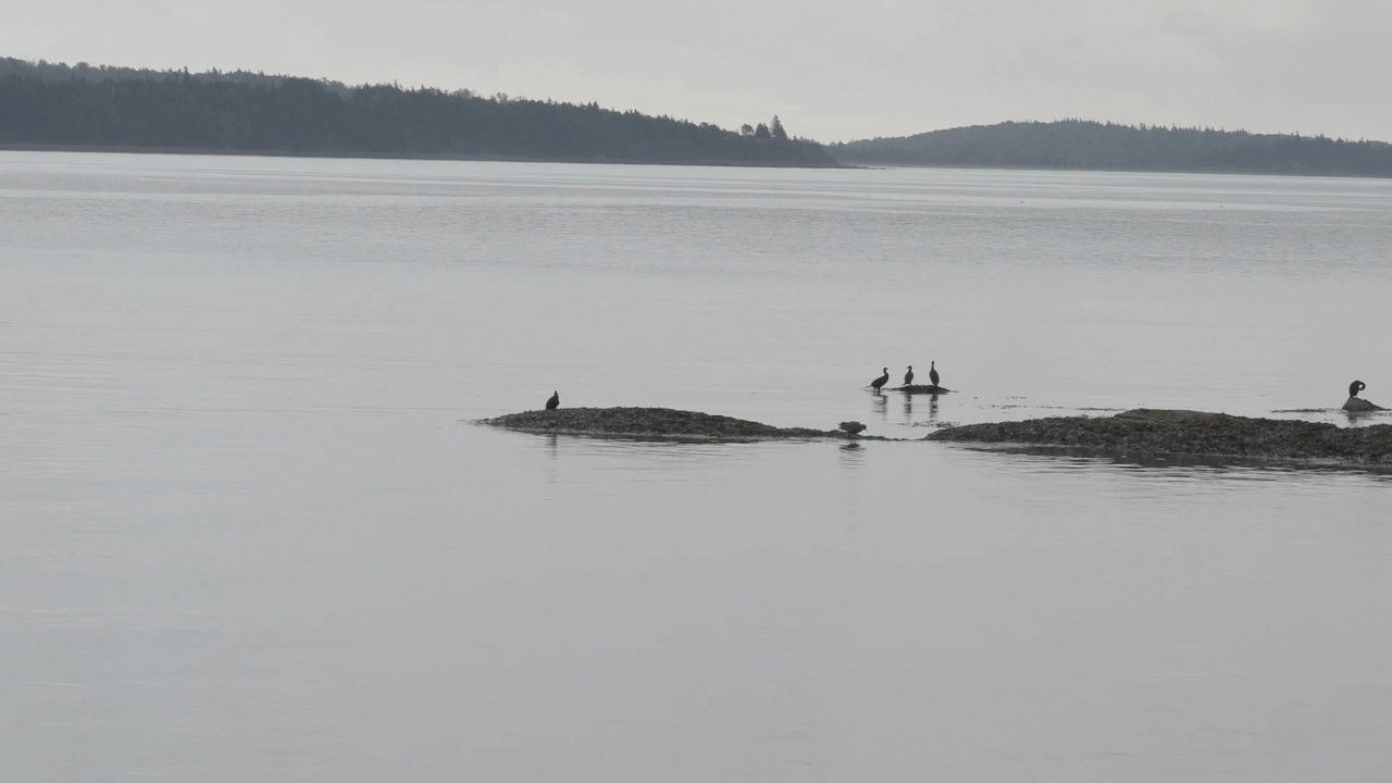 Mr. Horizon backdrop