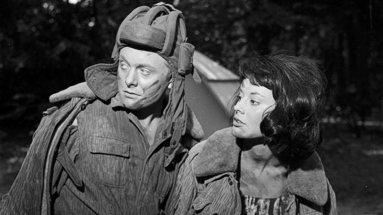 Czerwone berety backdrop