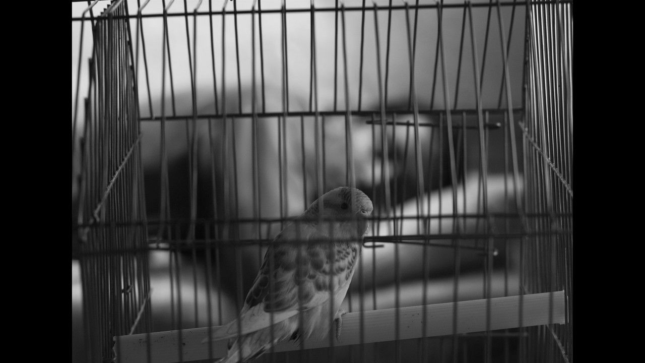 The Distance of Time backdrop