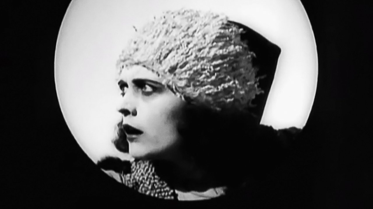 The Wildcat backdrop