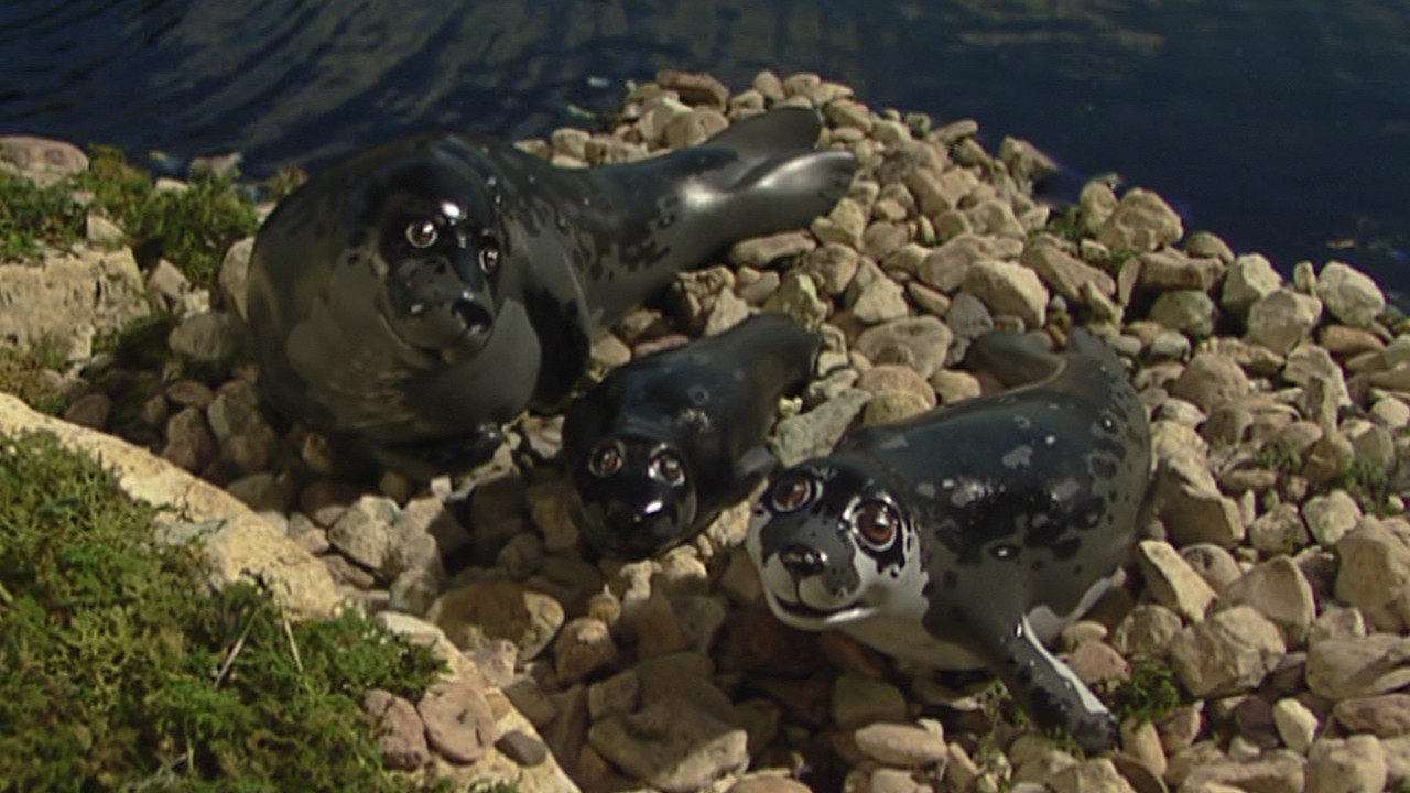 Thomas & Friends: Track Stars backdrop