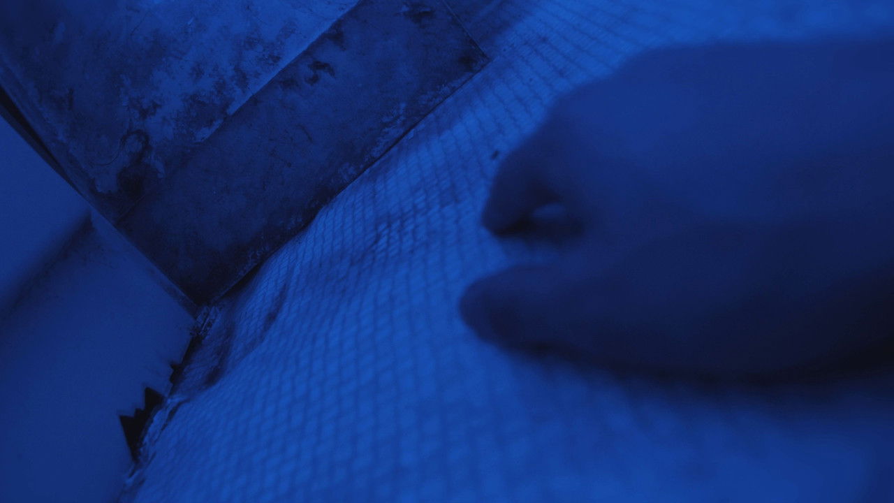 A Night to Remember backdrop