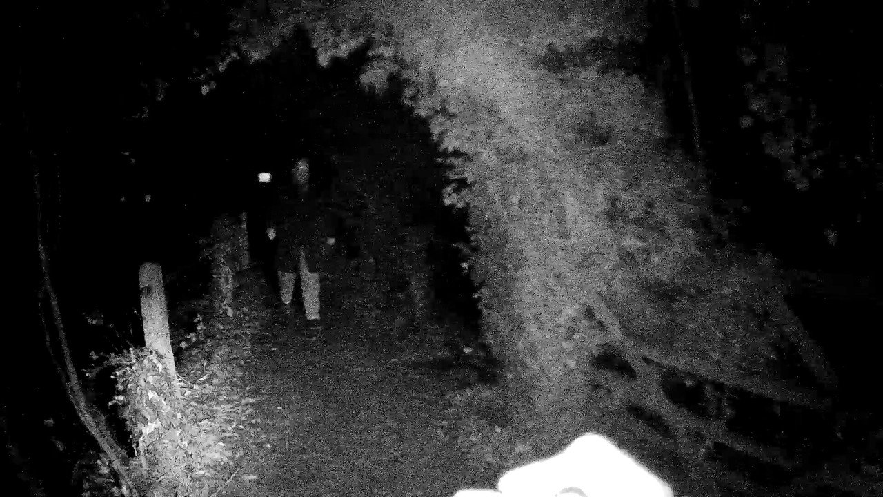 Port Meadow backdrop