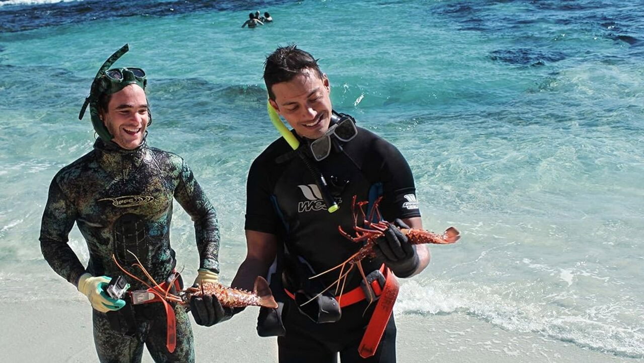 Savour Australia backdrop