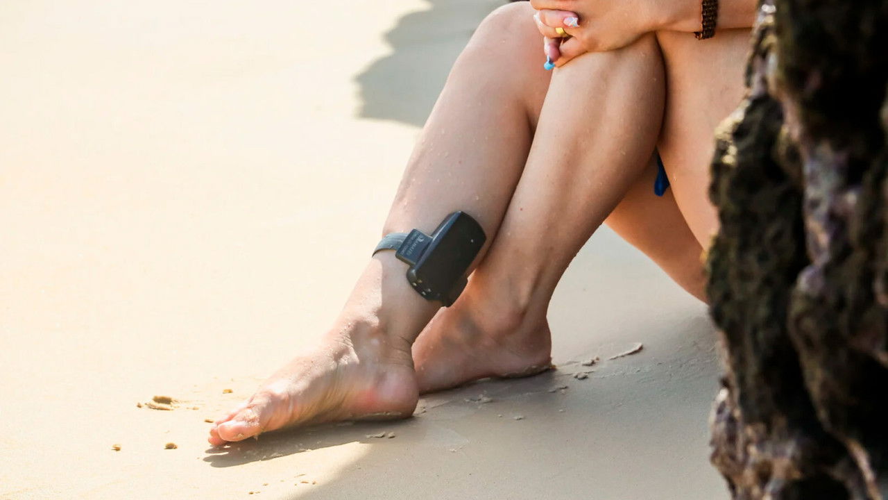 Liberdade Sem Conduta backdrop