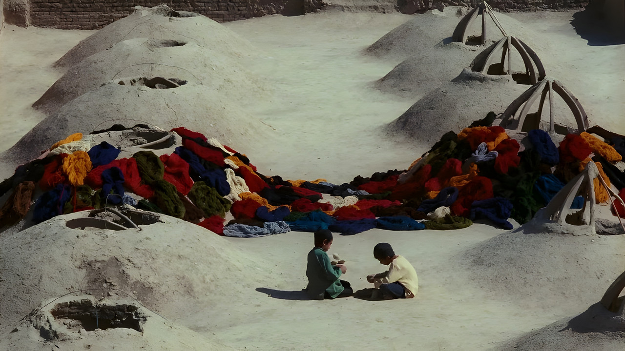 Pomegranate and Cane backdrop