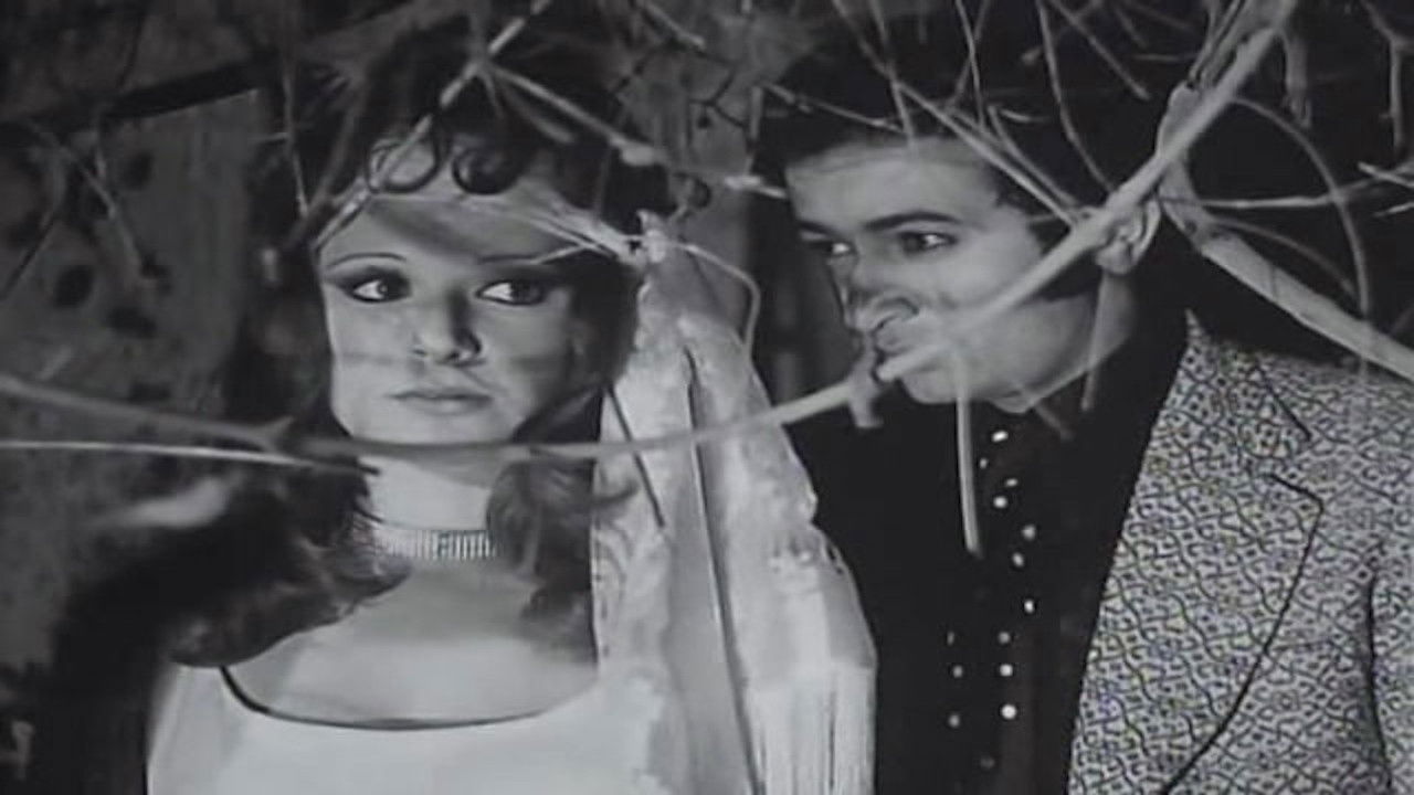 Word of Honour backdrop