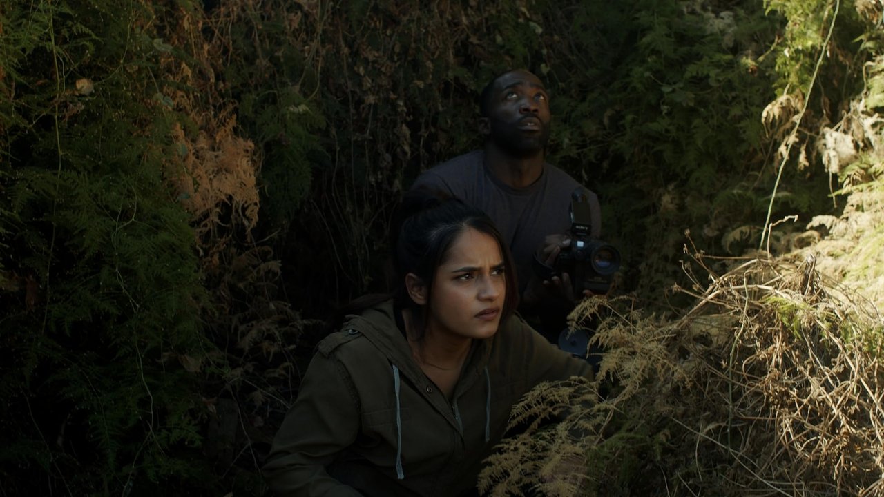 Fighting Olympus backdrop