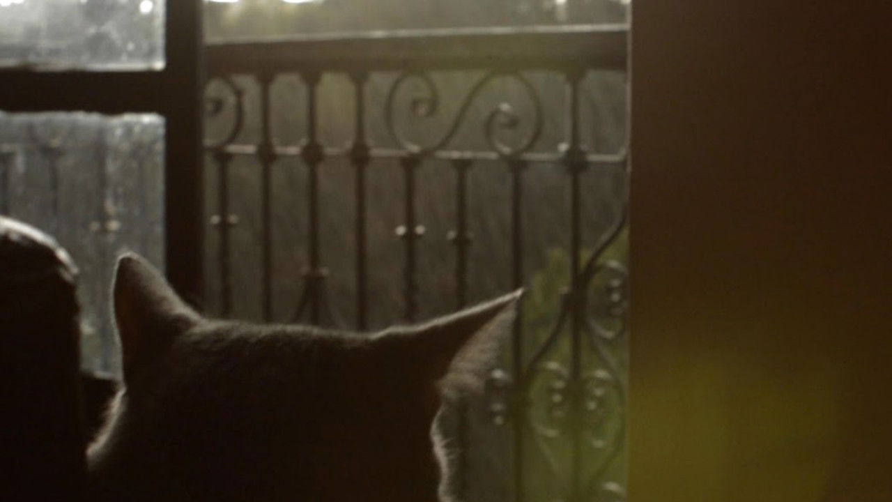 Cuando Está Lloviendo y Eso backdrop