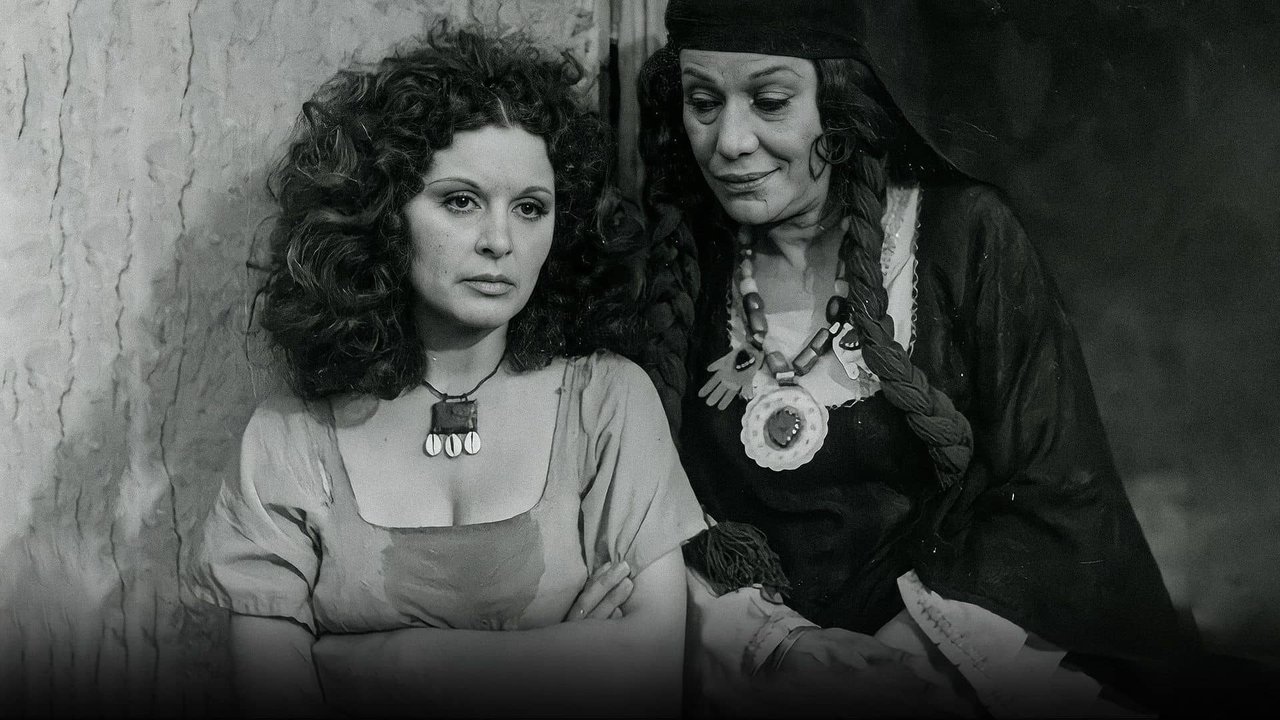 Shafiqa and Metwally backdrop