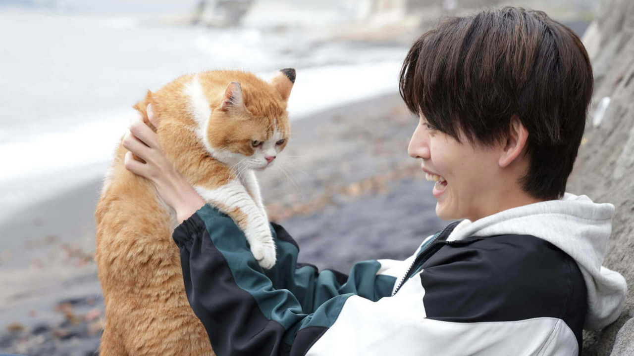 NEKOMIMI - Seaside Pet Detective - backdrop