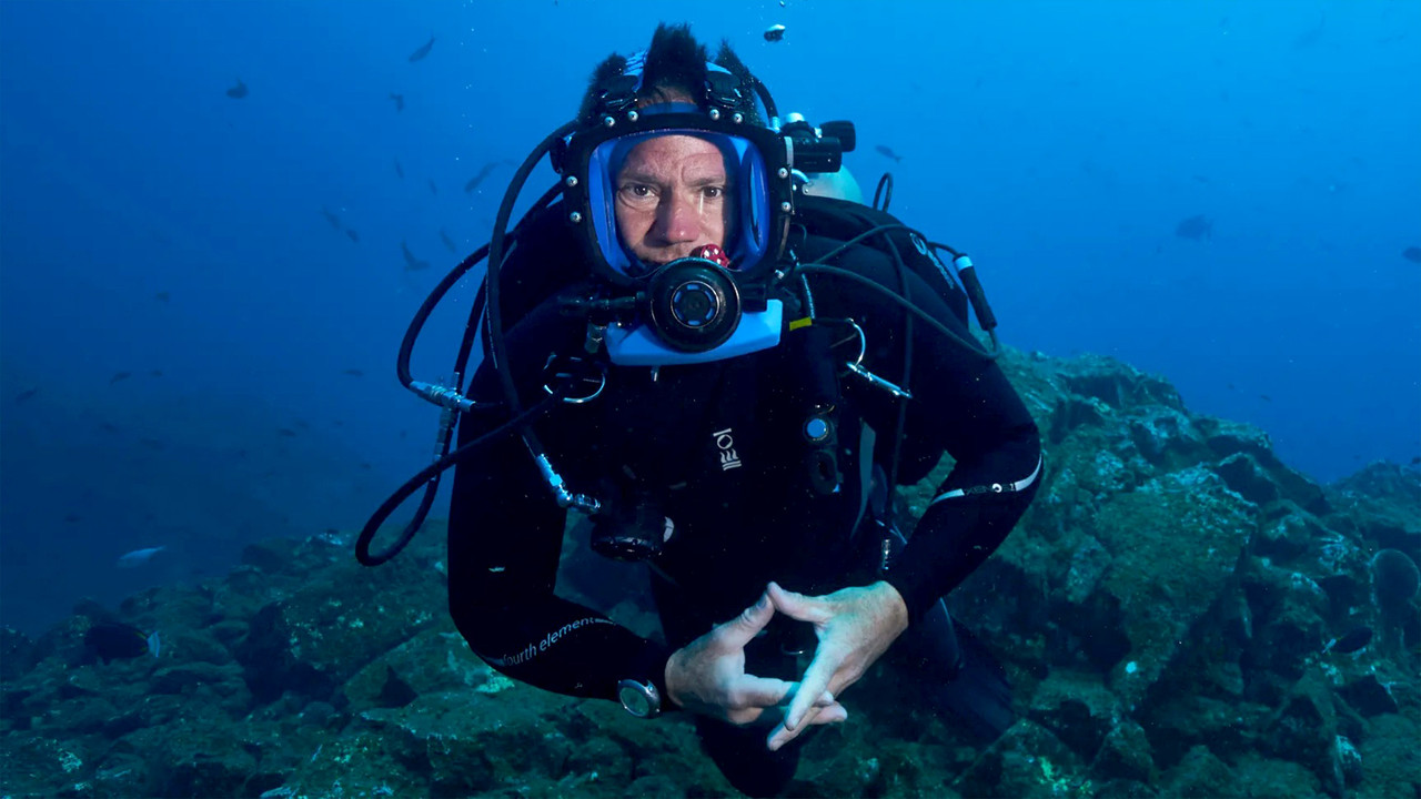 Shark with Steve Backshall backdrop