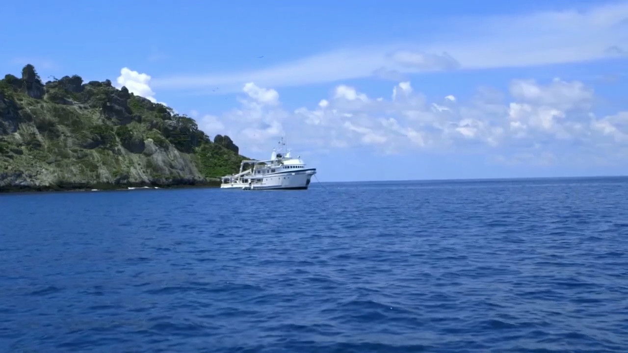 Shark Land: Welcome to Cocos Island backdrop