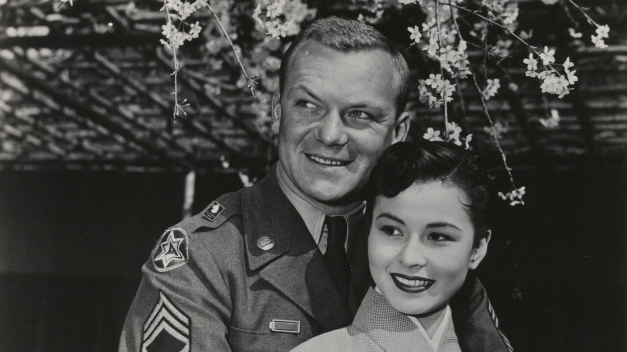 Three Stripes in the Sun backdrop