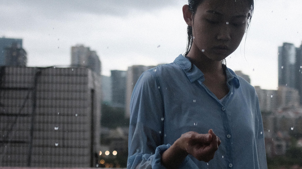 Damp Season backdrop