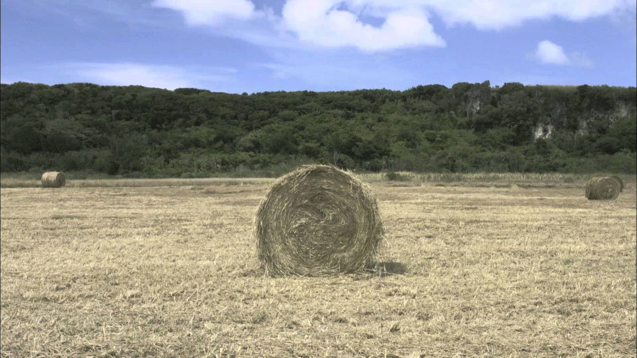 Cloud Nation backdrop