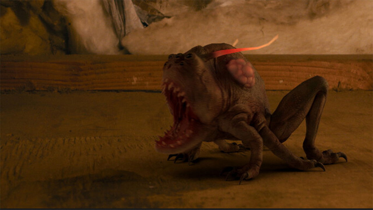 Pest Control backdrop