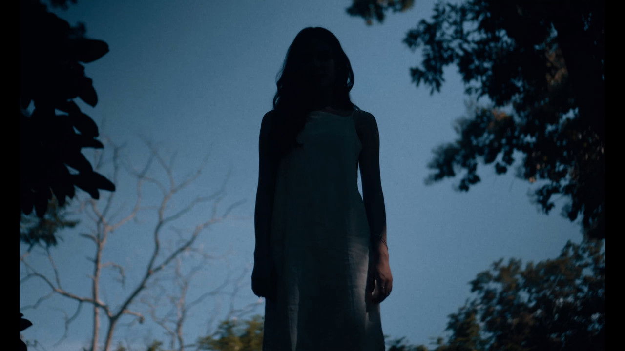 Lost and Found backdrop