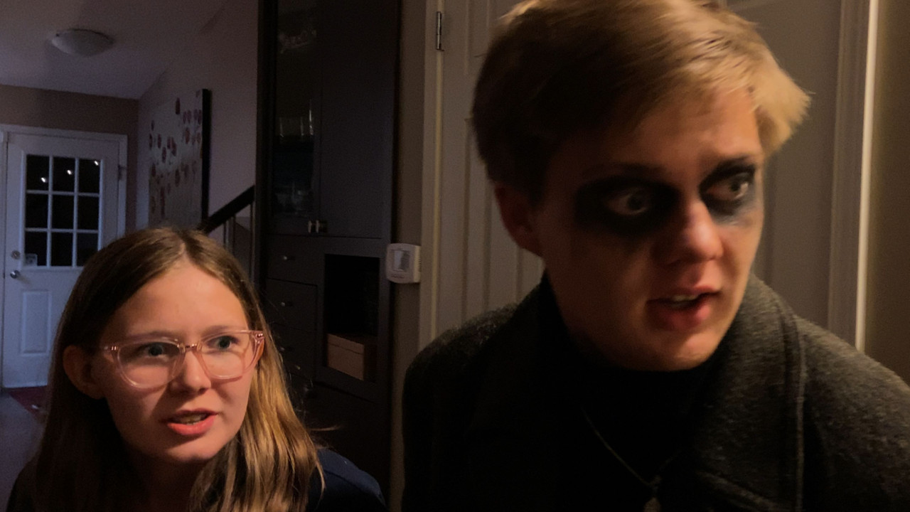 Dead Dog World backdrop