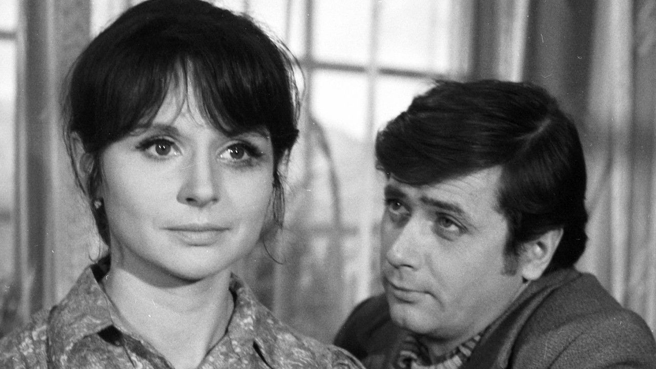 Kocie ślady backdrop