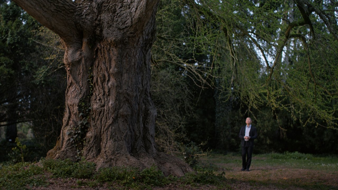 Silent Friend backdrop