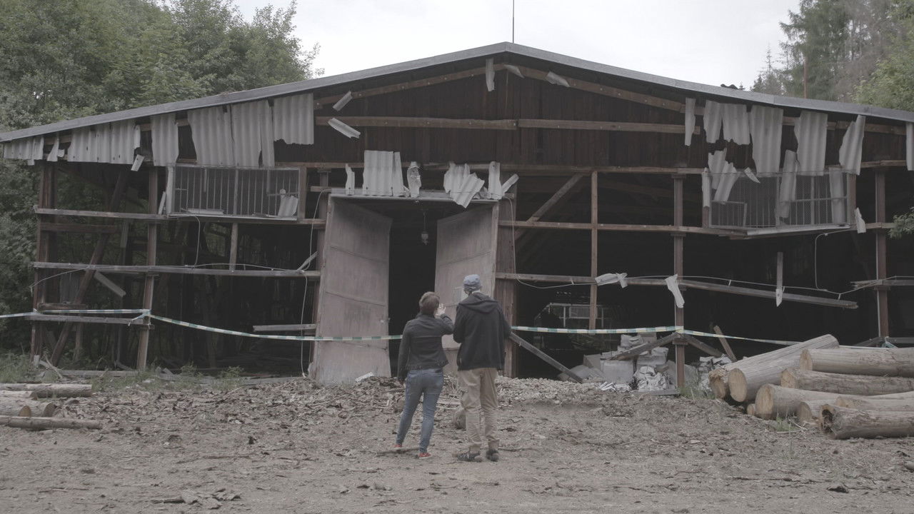 Putin's Playground backdrop