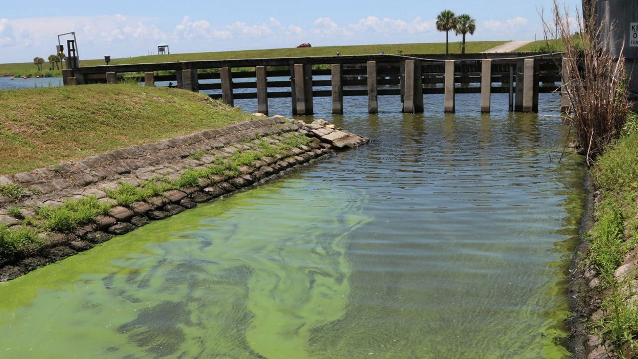 Toxic Puzzle backdrop